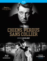 CHIENS PERDUS SANS COLLIER