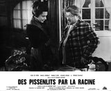 DES PISSENLITS PAR LA RACINE