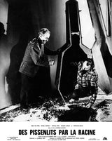 DES PISSENLITS PAR LA RACINE