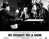 DES PISSENLITS PAR LA RACINE