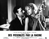 DES PISSENLITS PAR LA RACINE