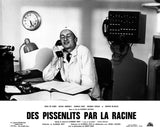 DES PISSENLITS PAR LA RACINE