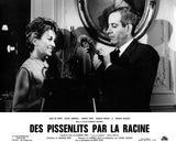 DES PISSENLITS PAR LA RACINE