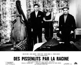 DES PISSENLITS PAR LA RACINE