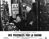 DES PISSENLITS PAR LA RACINE