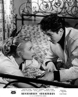 ADORABLES CRÉATURES