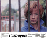 L'ASTRAGALE