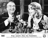 UNE SOURIS CHEZ LES HOMMES