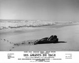LES AMANTS DU TAGE