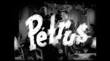 PETRUS