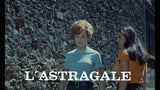 L'ASTRAGALE