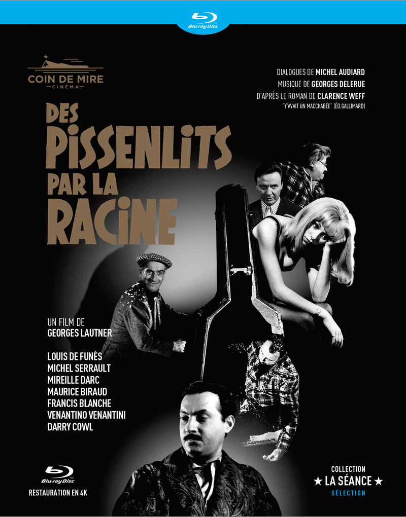 DES PISSENLITS PAR LA RACINE