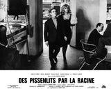 DES PISSENLITS PAR LA RACINE