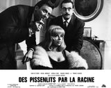 DES PISSENLITS PAR LA RACINE