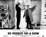 DES PISSENLITS PAR LA RACINE