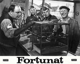 FORTUNAT