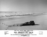 LES AMANTS DU TAGE