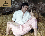 LA VEUVE COUDERC